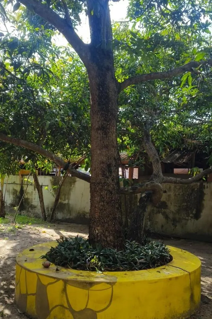 Elara Guest House Alappuzha